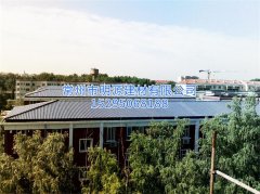 合成樹(shù)脂瓦案例